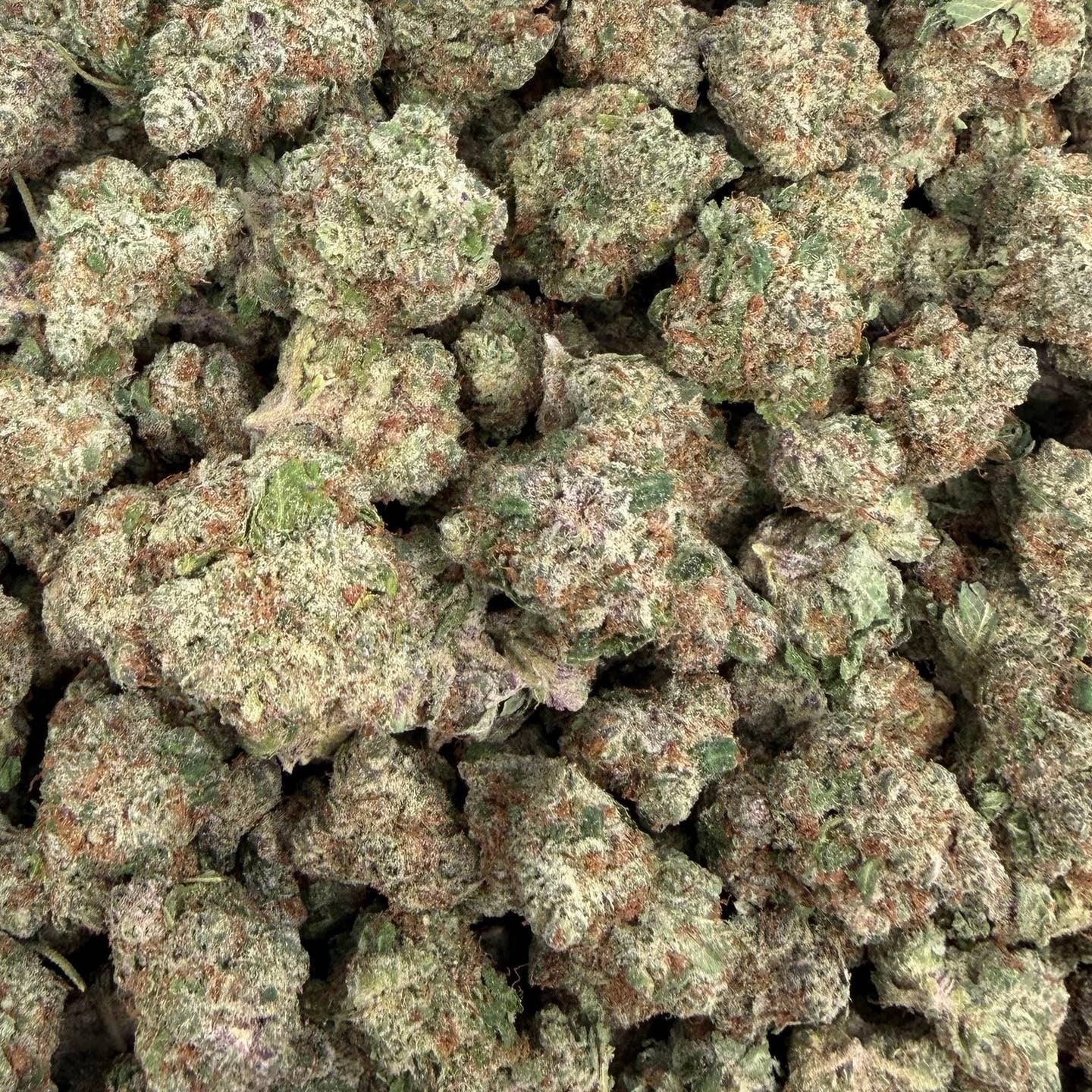 Purple Nebula bulk THCA flower — Plain Jane 1 lb