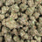 Purple Nebula bulk THCA flower — Plain Jane 1 lb