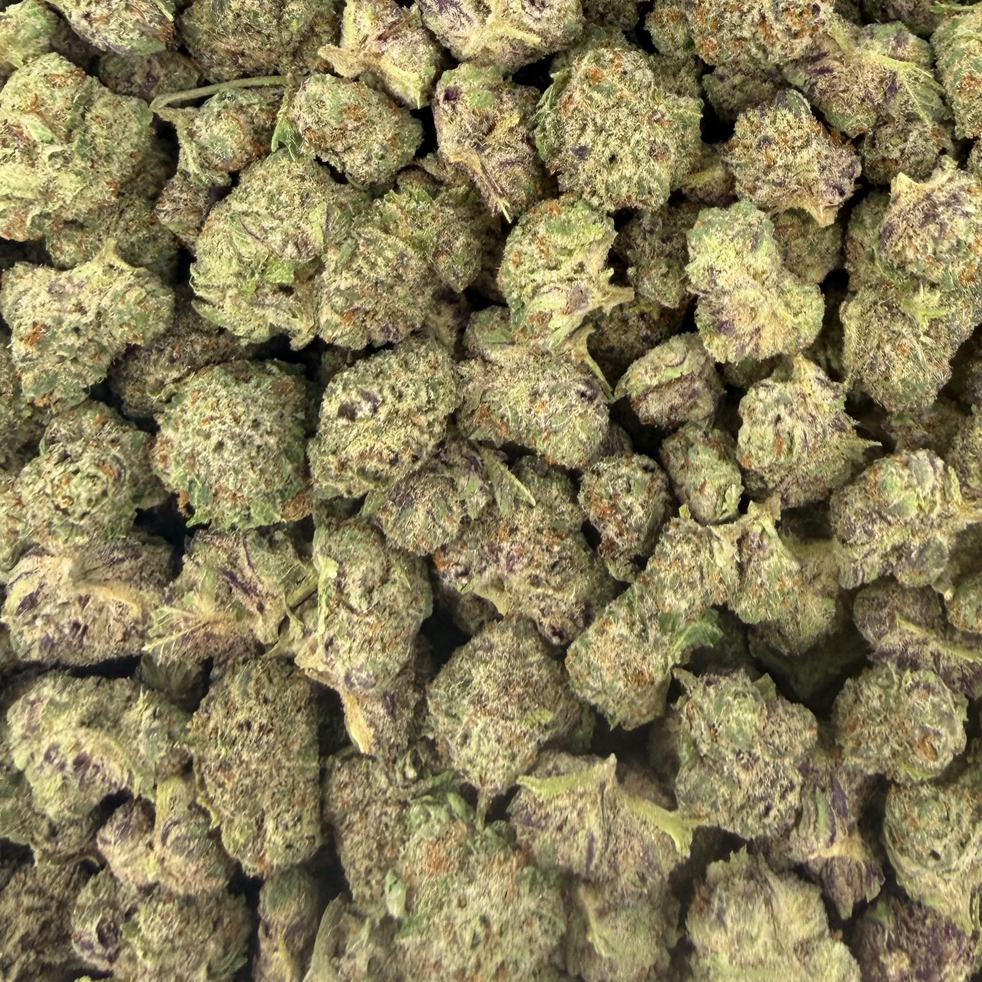 Purple Nebula bulk THCA flower — Plain Jane 1 lb