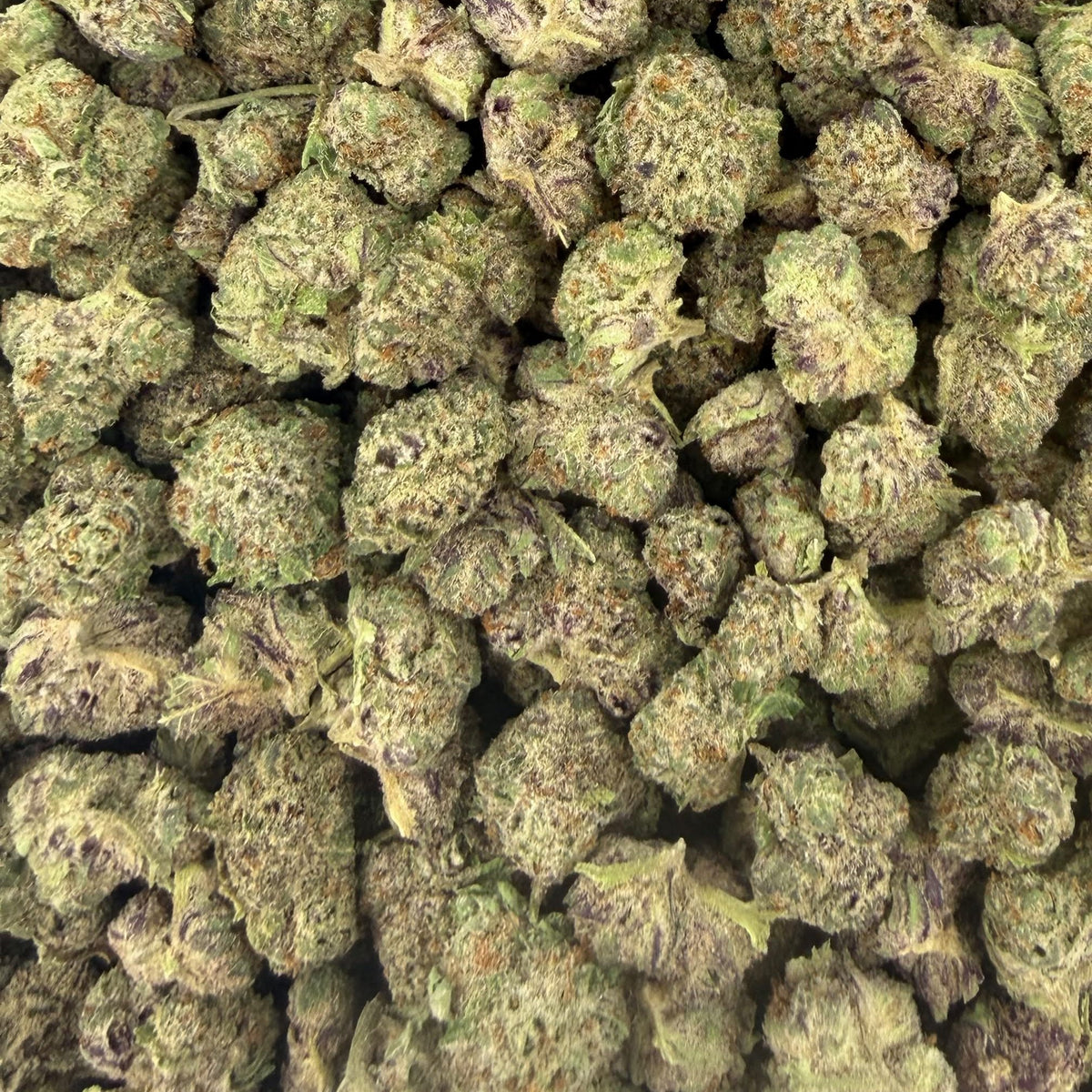 Purple Nebula bulk THCA flower — Plain Jane 1 lb