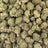 Purple Nebula bulk THCA flower — Plain Jane 1 lb