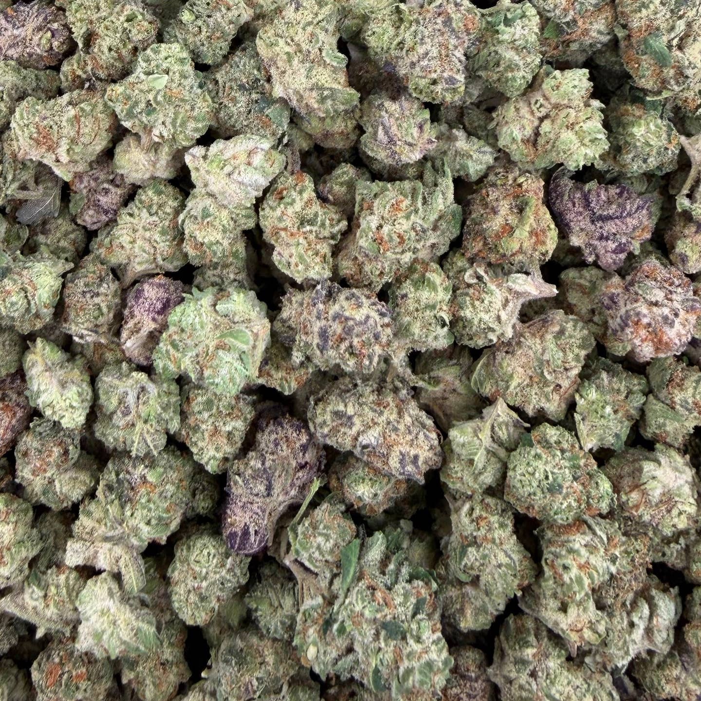 Purple Punch bulk THCA flower — Plain Jane 1 lb