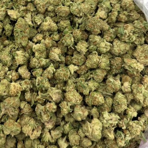 Purple Punch bulk THCA flower — Plain Jane 1 lb