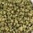Purple Punch bulk THCA flower — Plain Jane 1 lb