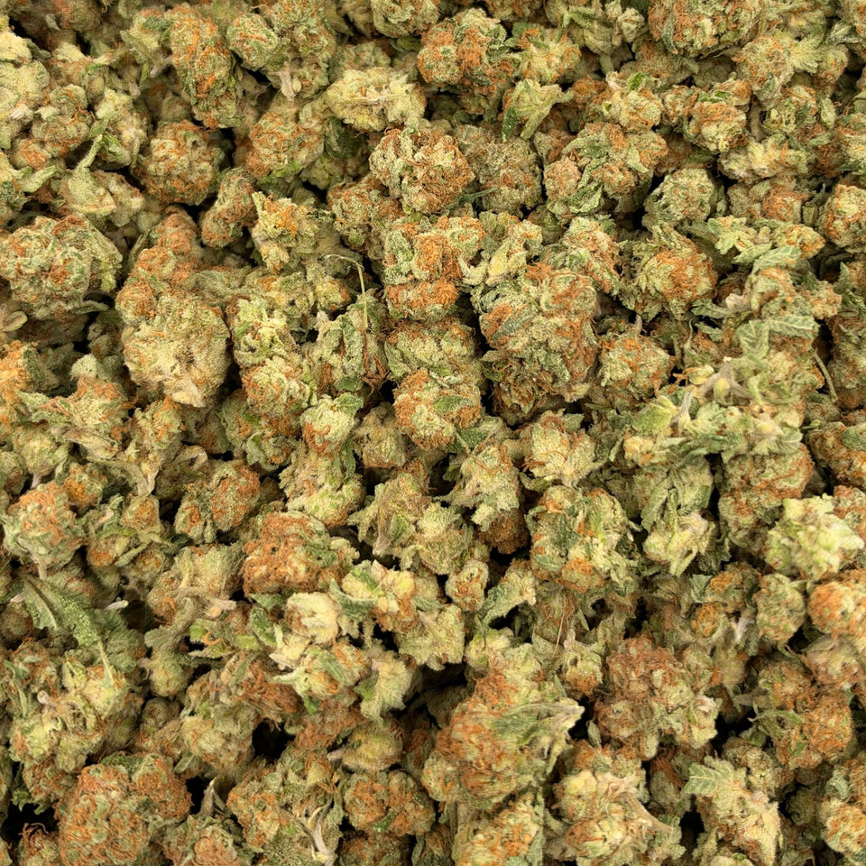 Purple Punch (Indoor Smalls) – Bulk THCA Flower 1 lb