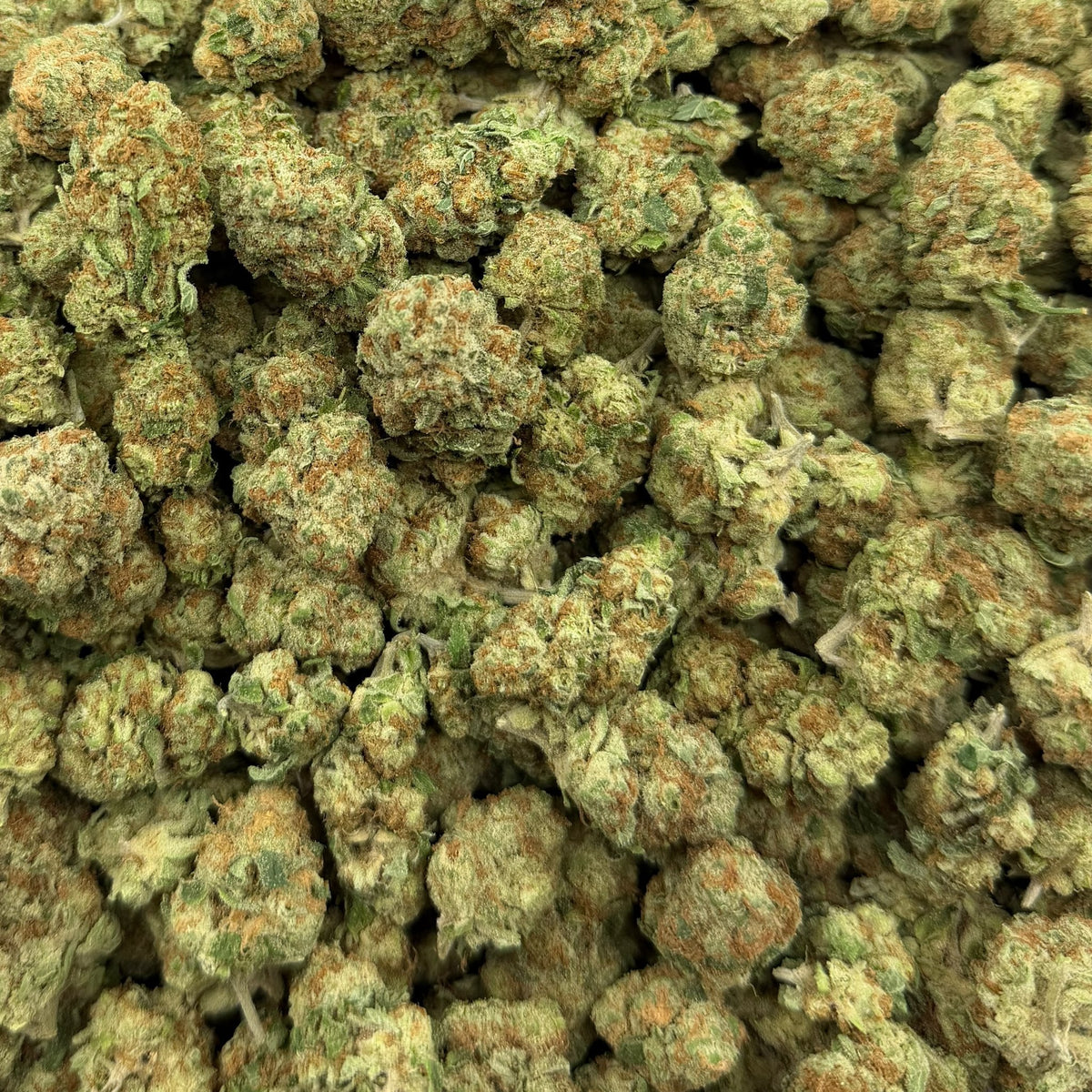 Purple Punch bulk THCA flower — Plain Jane 1 lb