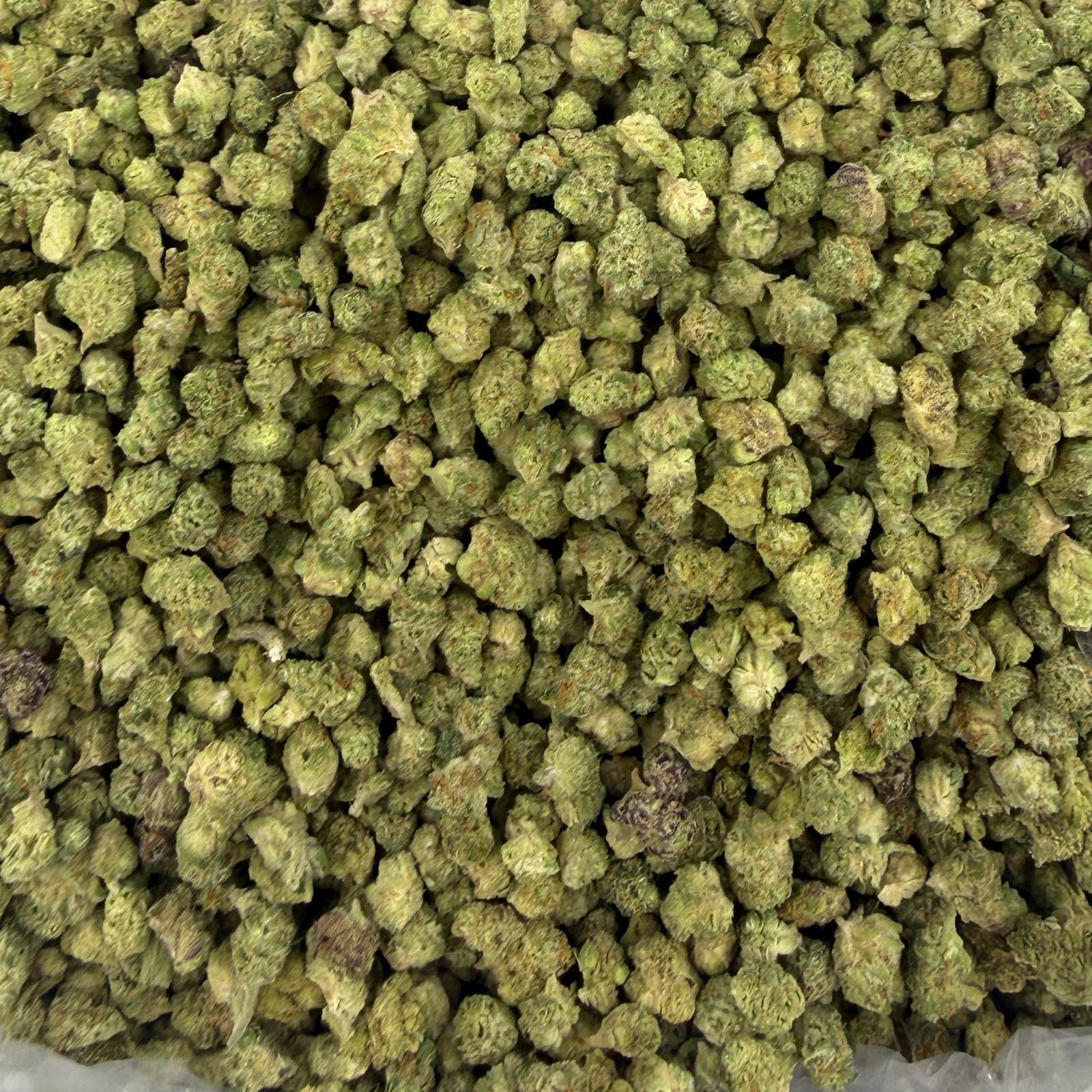 Purple Punch M bulk THCA flower — Plain Jane 1 lb