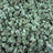 Purple Push Pop bulk THCA flower — Plain Jane 1 lb
