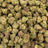 Purple Push Pop bulk THCA flower — Plain Jane 1 lb