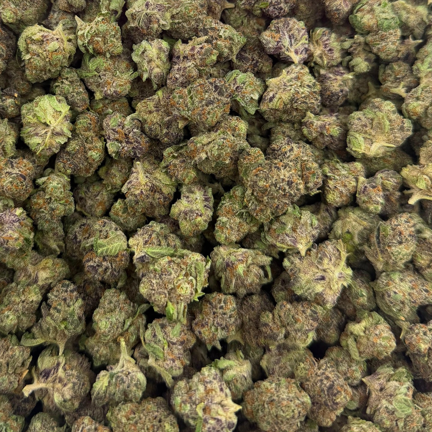 Purple Rhino bulk THCA flower — Plain Jane 1 lb