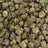 Purple Rhino bulk THCA flower — Plain Jane 1 lb
