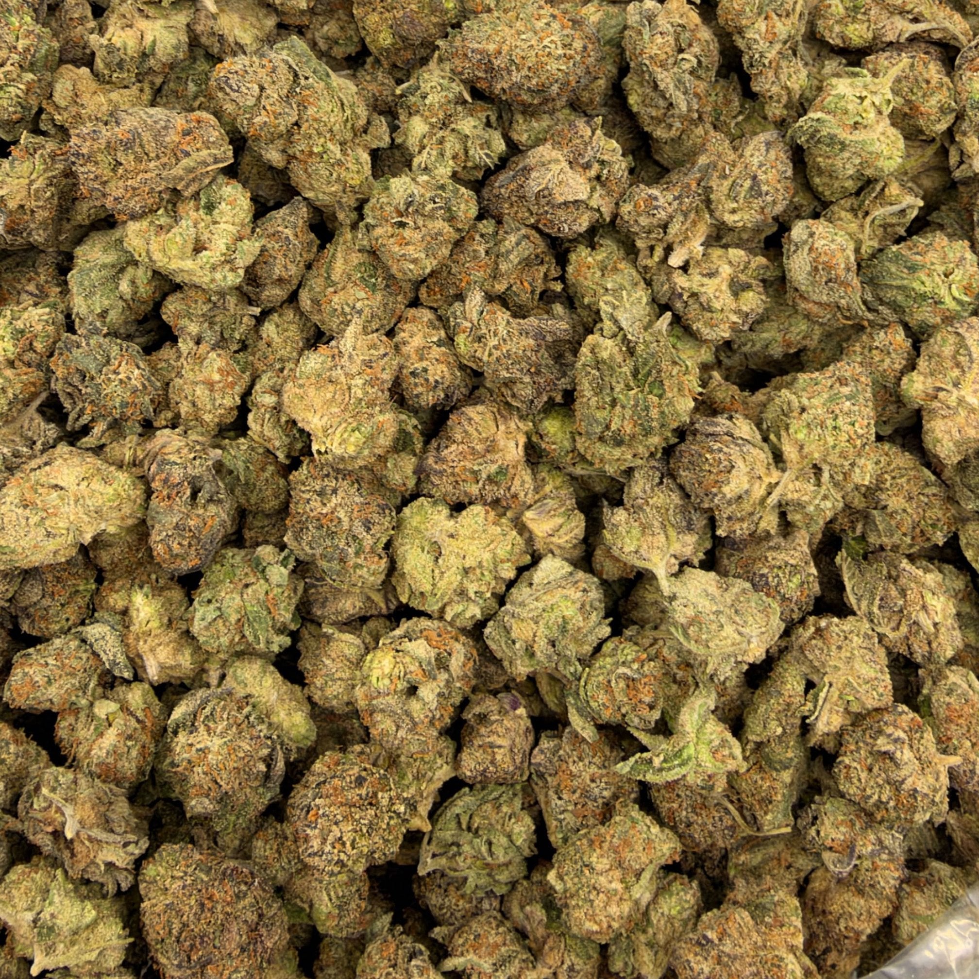 Purple Rhino bulk THCA flower — Plain Jane 1 lb
