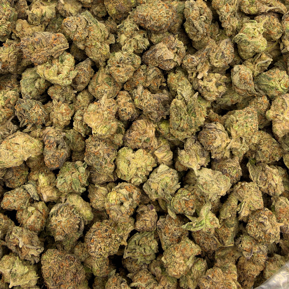 Purple Rhino (Value Indoor Medium Buds) – Bulk THCA Flower 1 lb