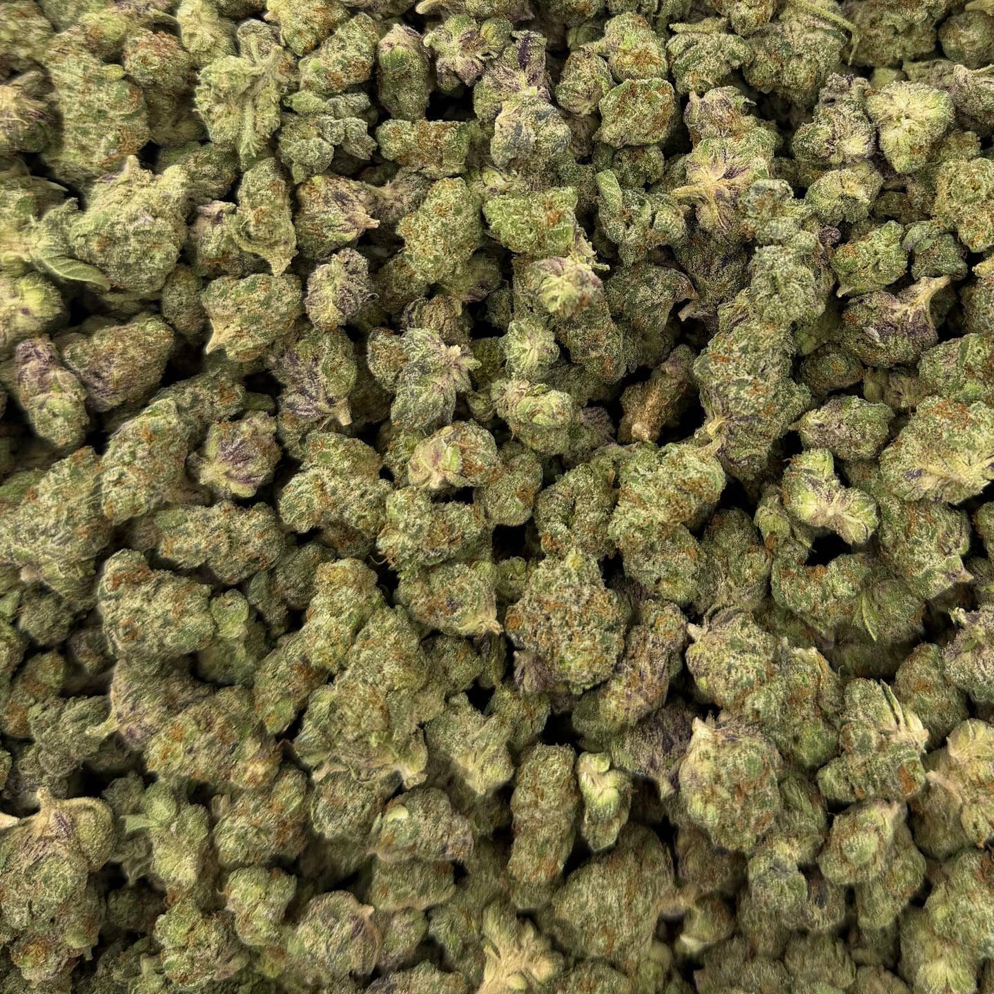 Purple Rock Candy bulk THCA flower — Plain Jane 1 lb