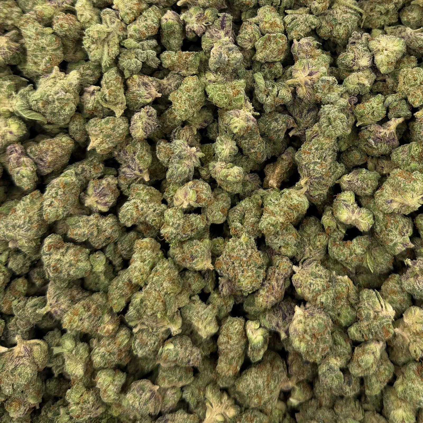 Purple Rock Candy bulk THCA flower — Plain Jane 1 lb