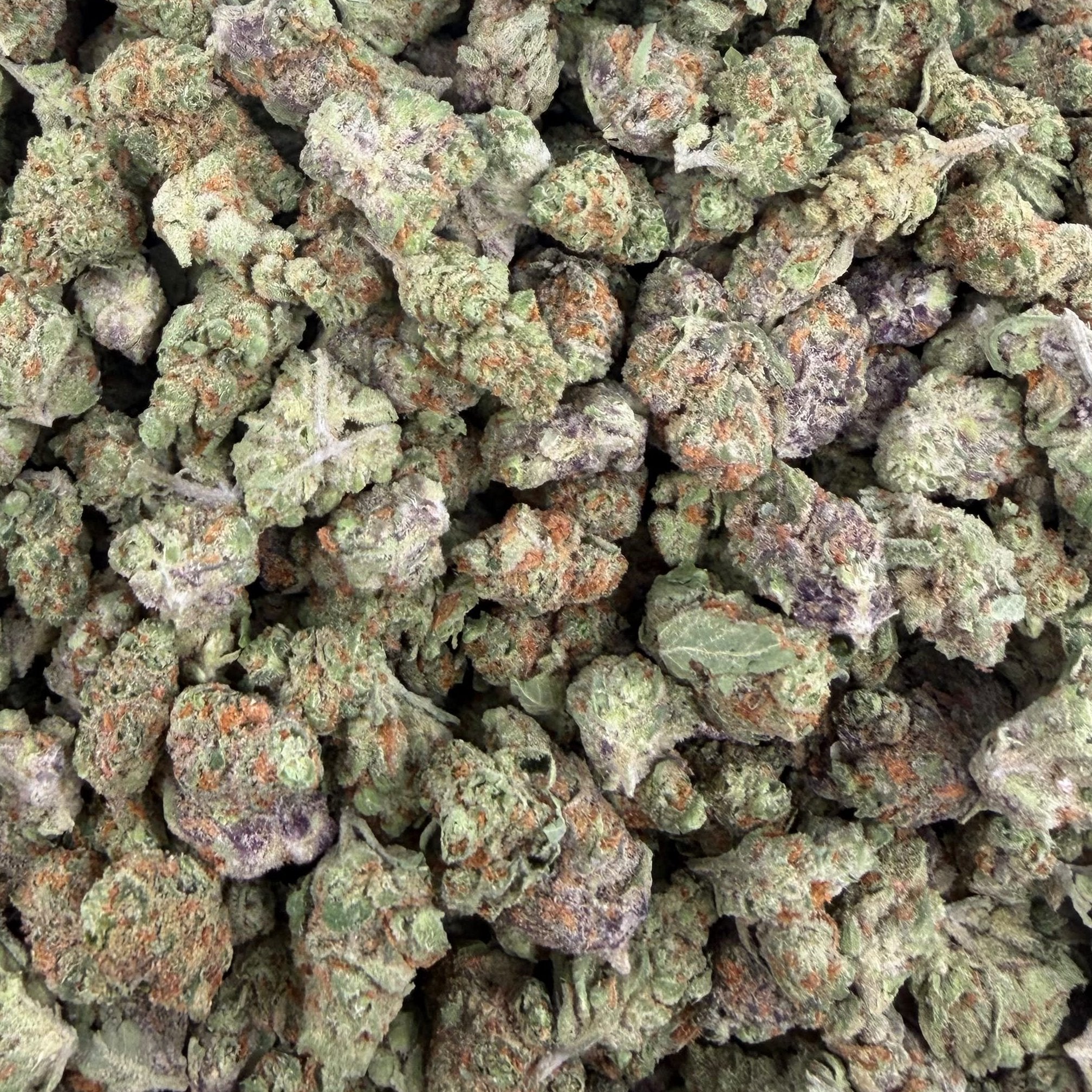 Purple Rock Candy bulk THCA flower — Plain Jane 1 lb