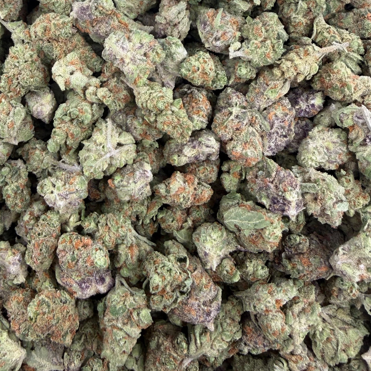 Purple Rock Candy bulk THCA flower — Plain Jane 1 lb