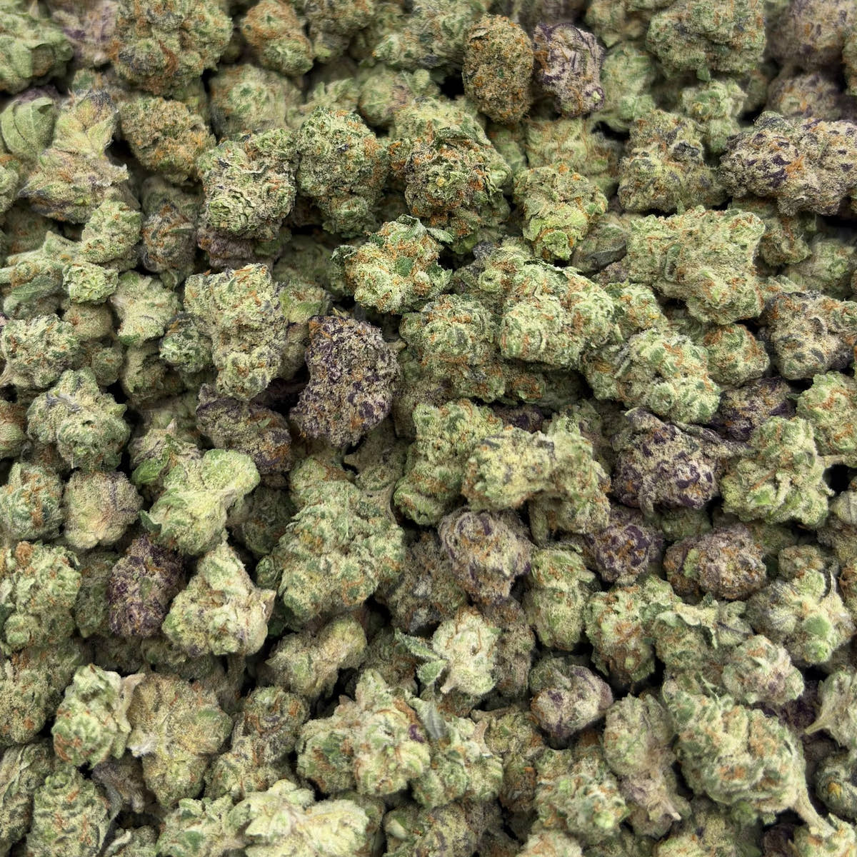 Purple Rock Candy bulk THCA flower — Plain Jane 1 lb