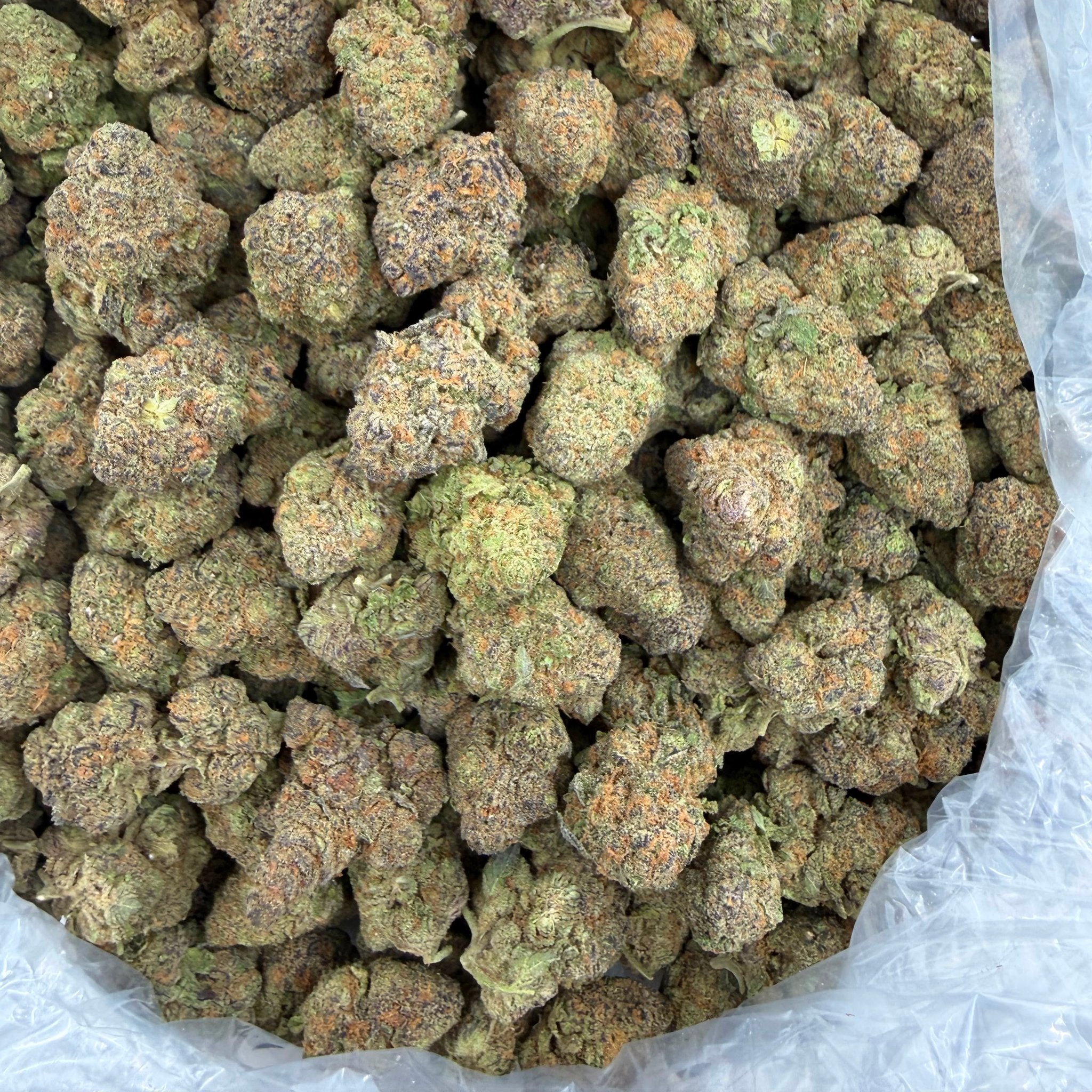 Purple Sizzurp bulk THCA flower — Plain Jane 1 lb