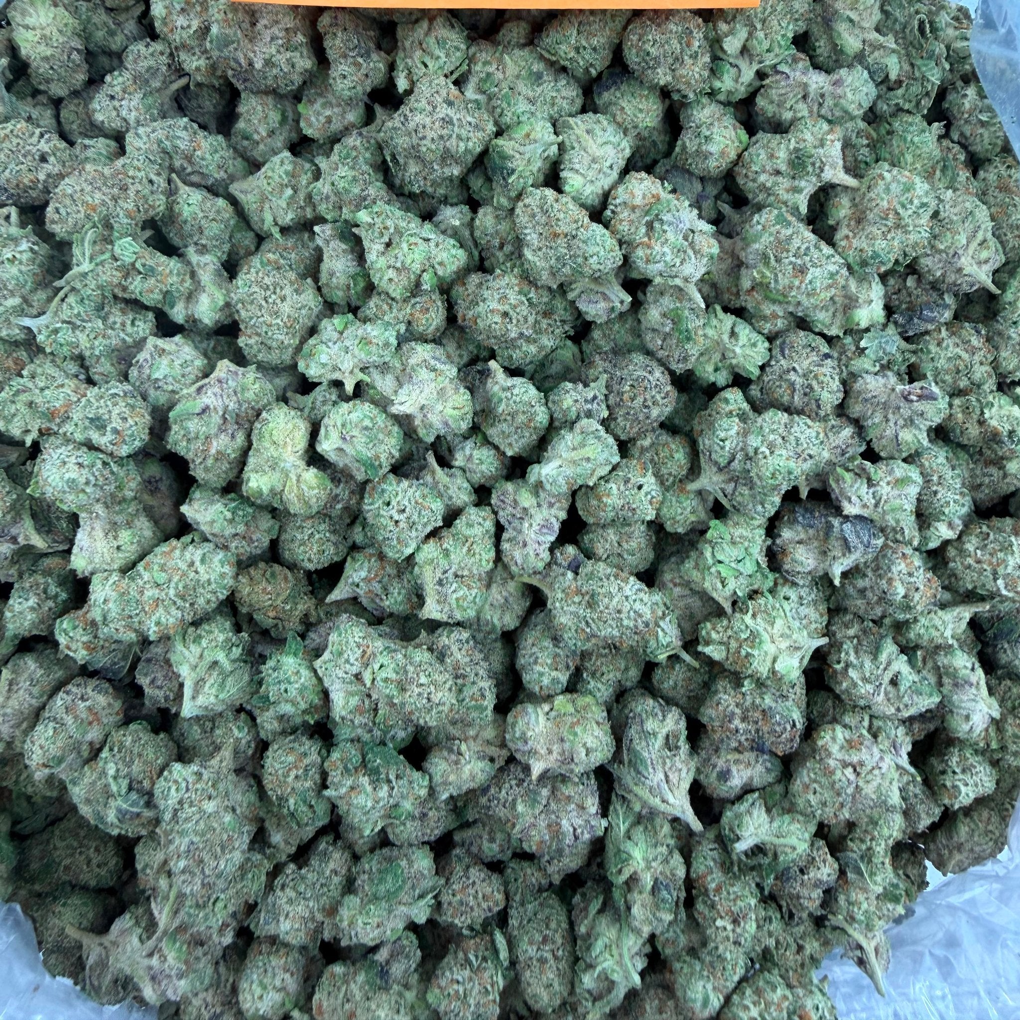 Purple Sizzurp bulk THCA flower — Plain Jane 1 lb