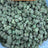 Purple Sizzurp bulk THCA flower — Plain Jane 1 lb