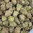 Purple Sizzurp bulk THCA flower — Plain Jane 1 lb