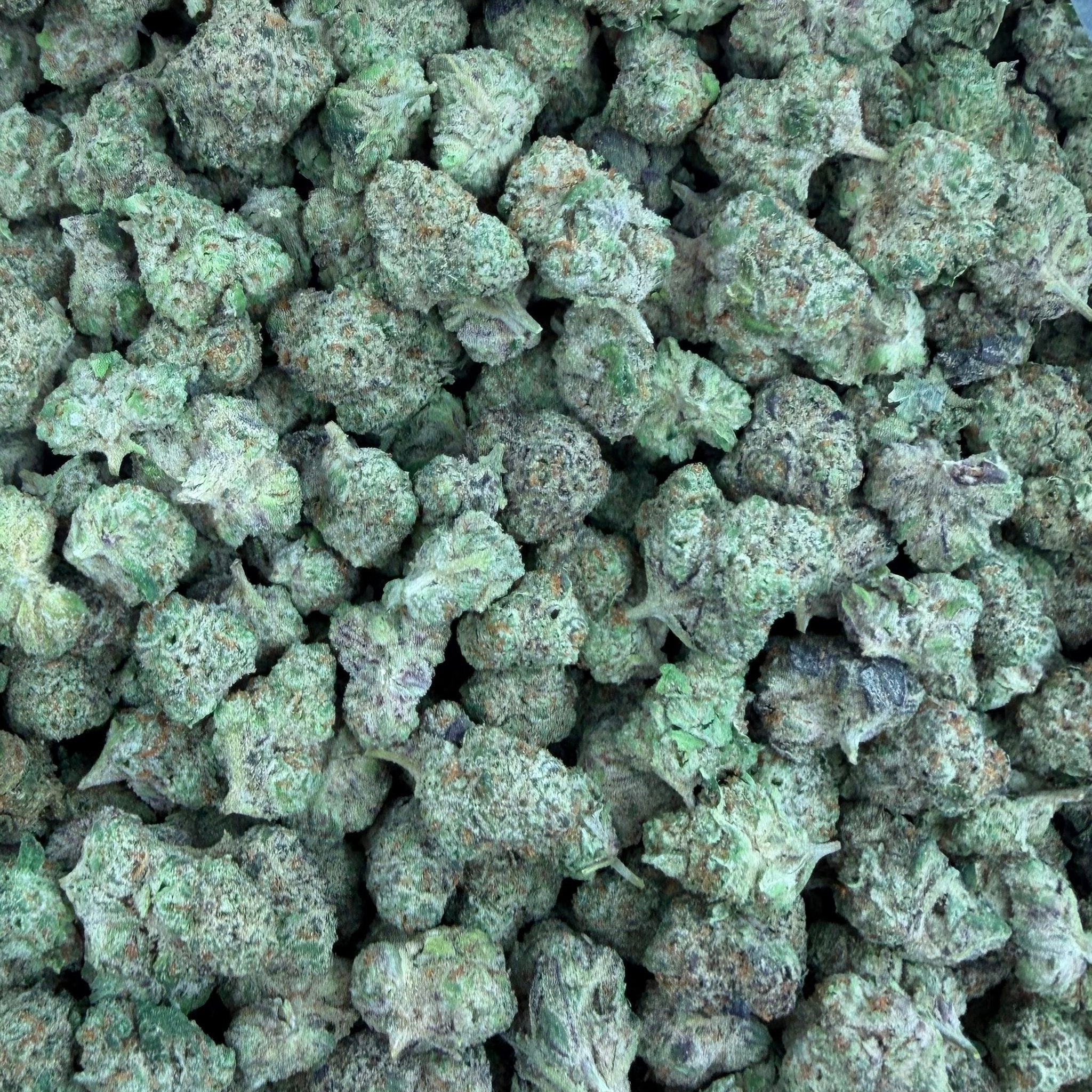 Purple Sizzurp bulk THCA flower — Plain Jane 1 lb