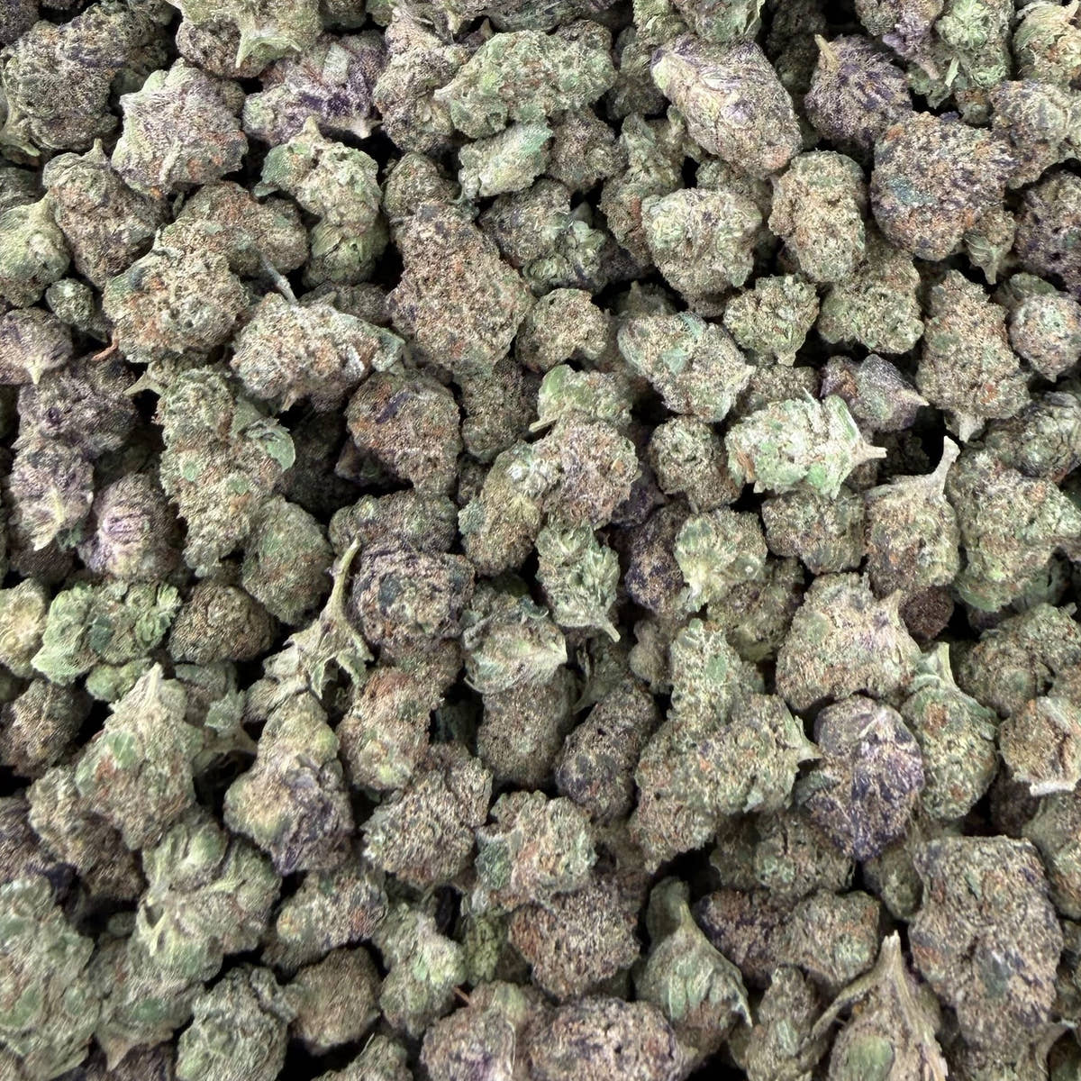 Purple Sizzurp bulk THCA flower — Plain Jane 1 lb