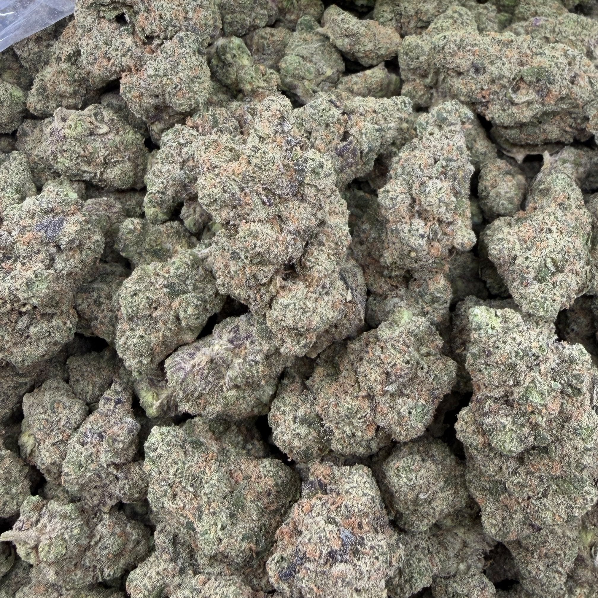 Purple Splash bulk THCA flower — Plain Jane 1 lb