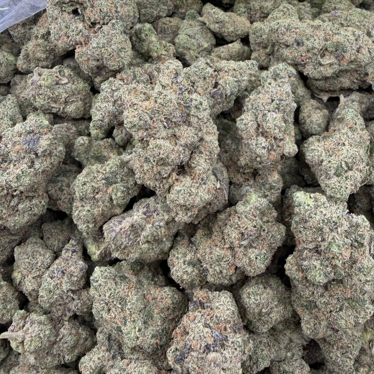Purple Splash bulk THCA flower — Plain Jane 1 lb