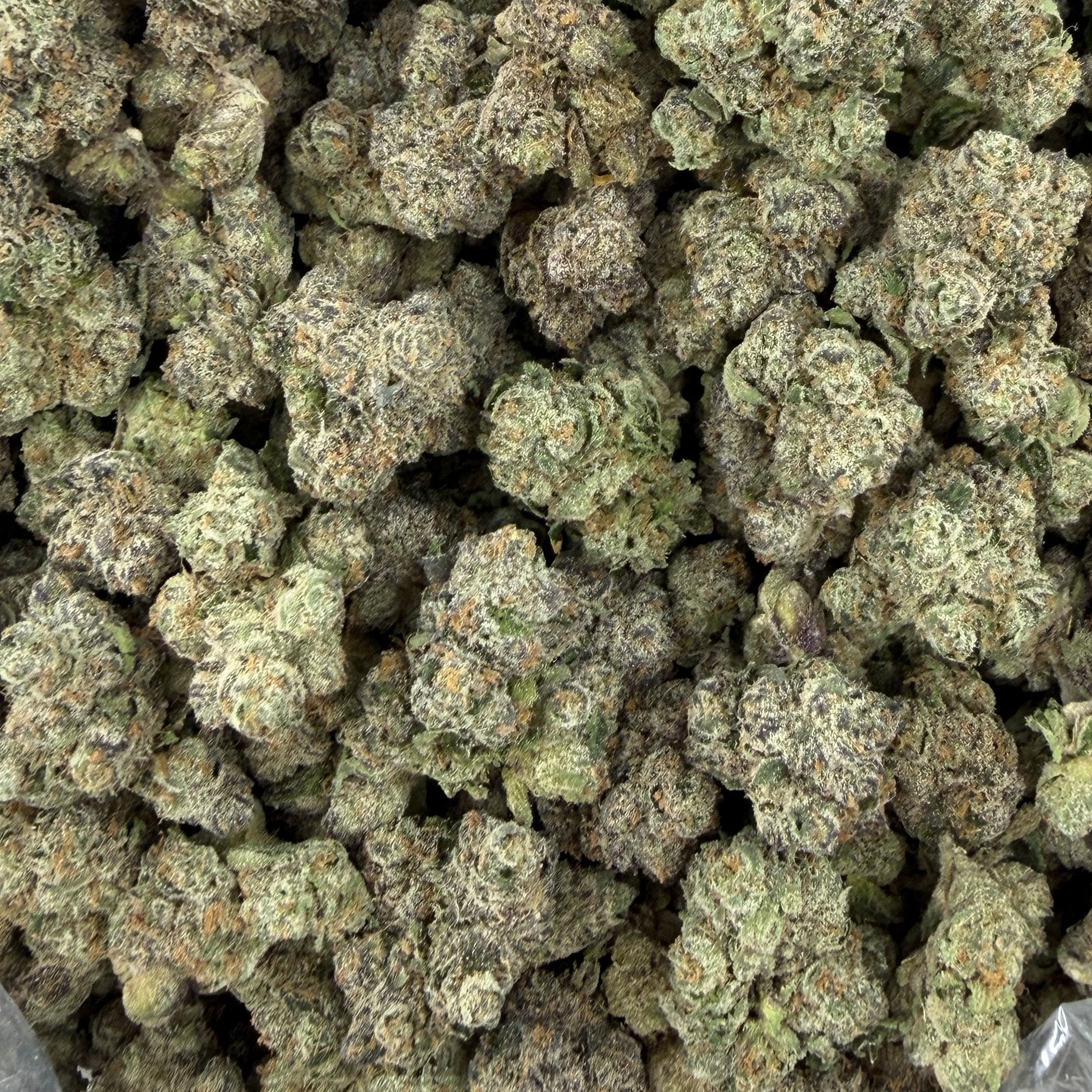 Purple Splash bulk THCA flower — Plain Jane 1 lb
