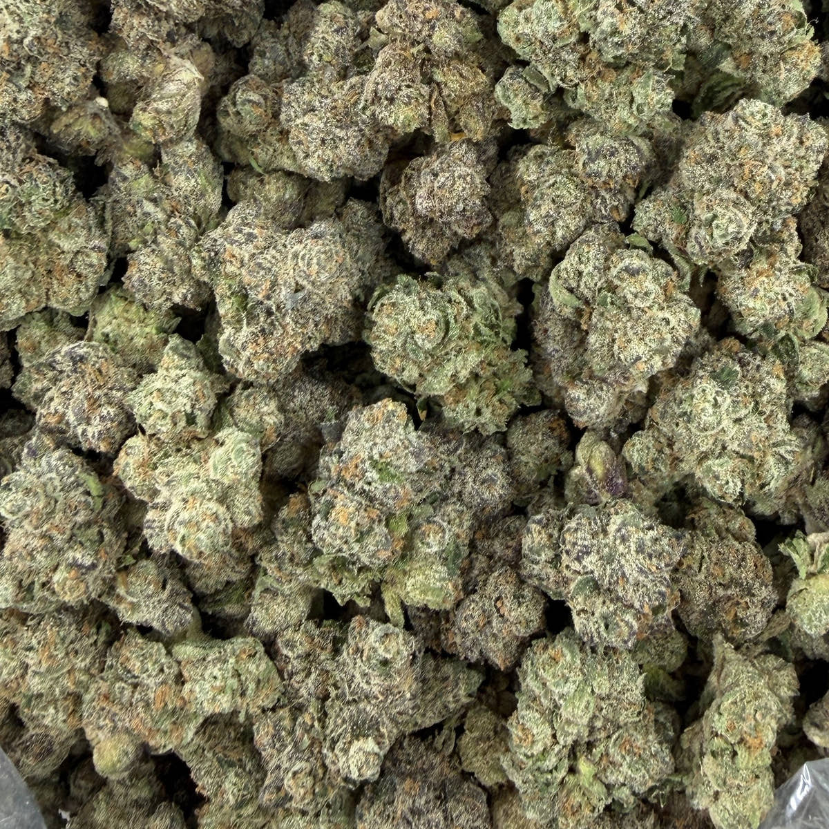 Purple Splash bulk THCA flower — Plain Jane 1 lb