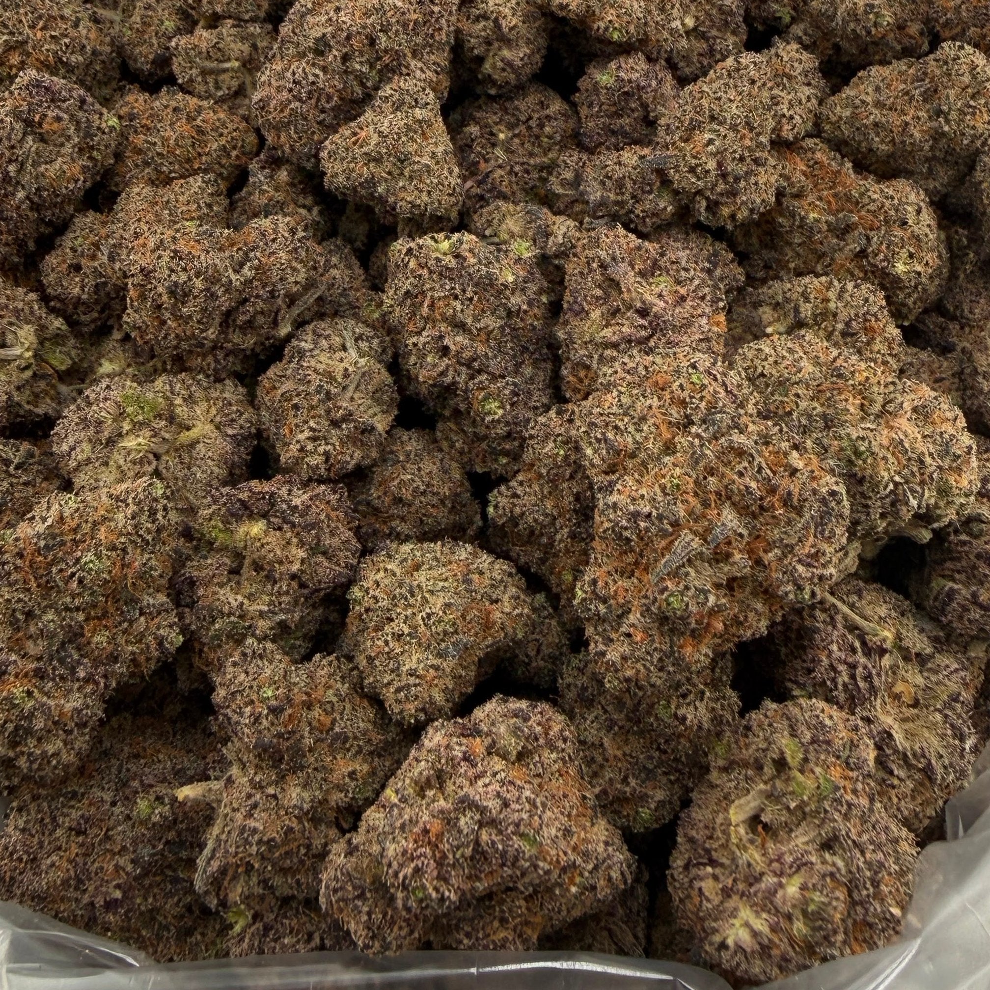 Purple Urkle bulk THCA flower — Plain Jane 1 lb