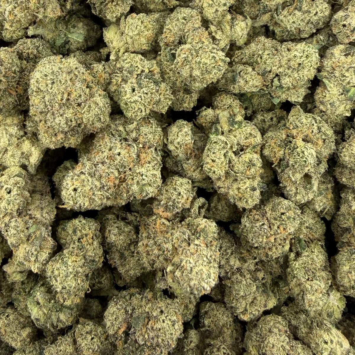 Rainbow Belts bulk THCA flower — Plain Jane 1 lb