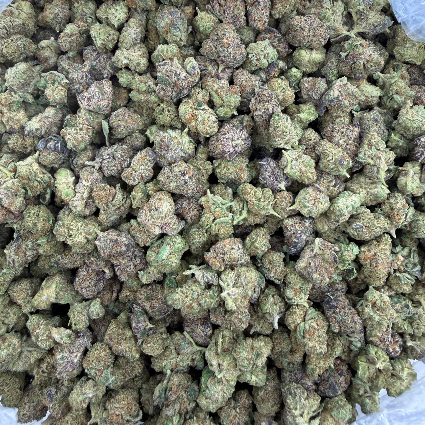 Rainbow Gas bulk THCA flower — Plain Jane 1 lb