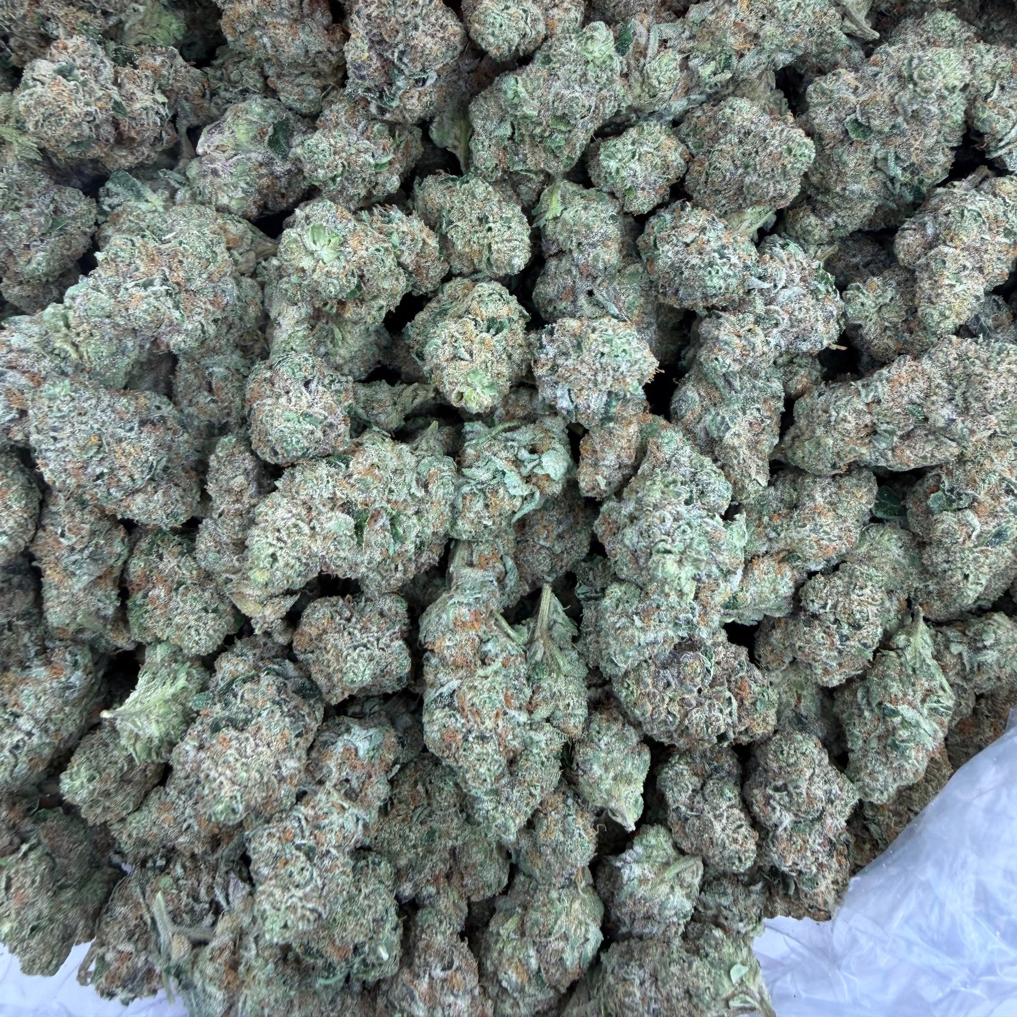 Rainbow Gas bulk THCA flower — Plain Jane 1 lb