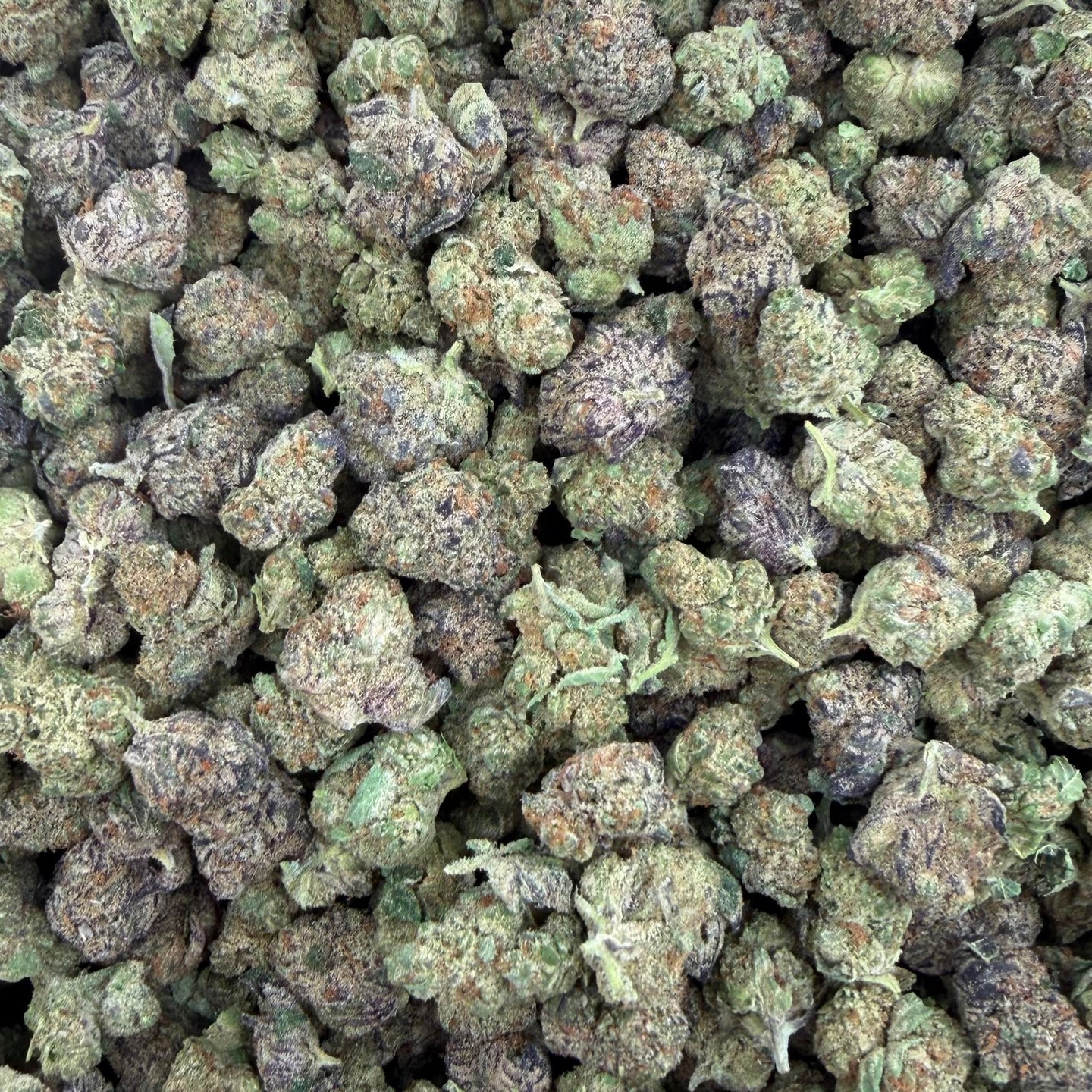 Rainbow Gas bulk THCA flower — Plain Jane 1 lb