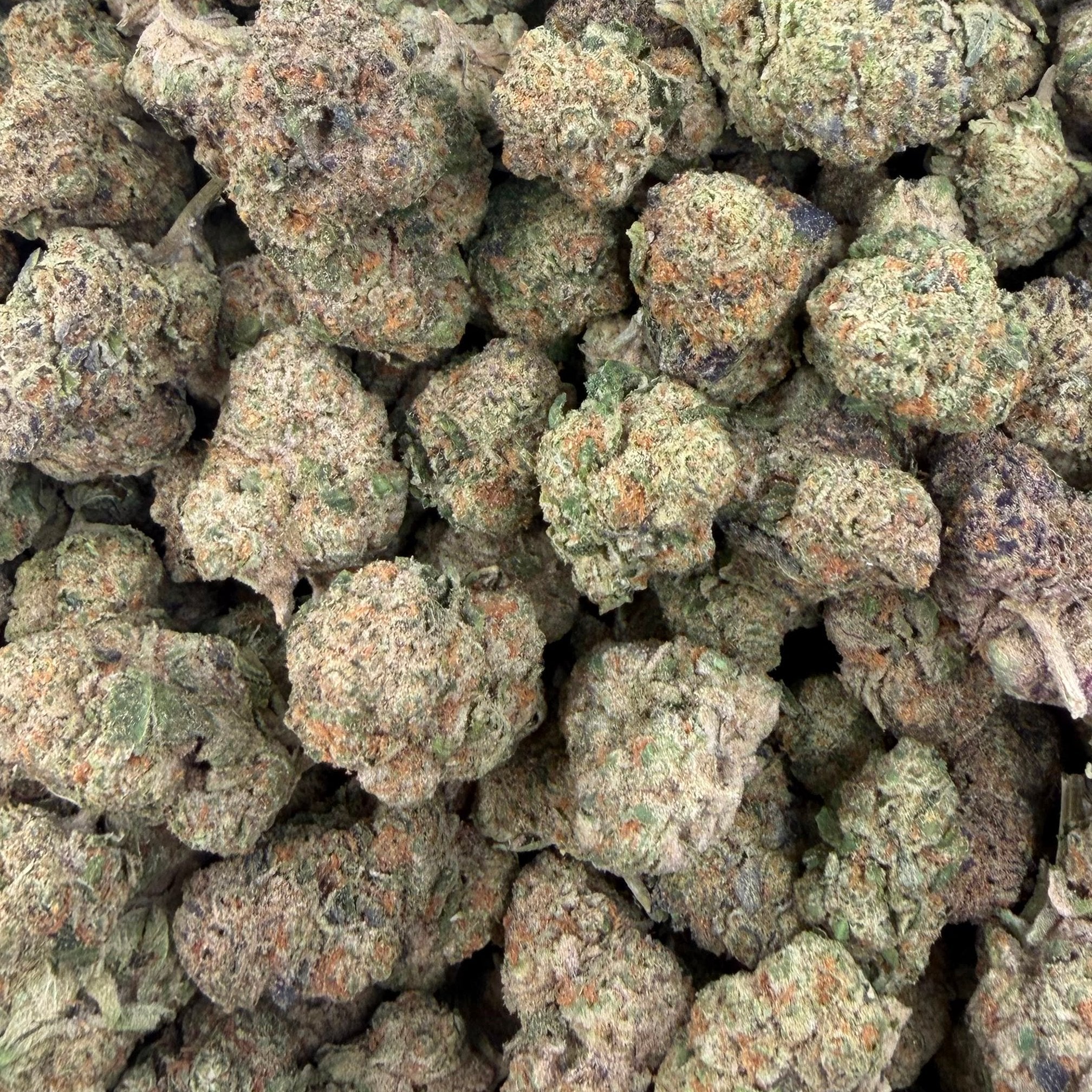 Rainbow Gas bulk THCA flower — Plain Jane 1 lb