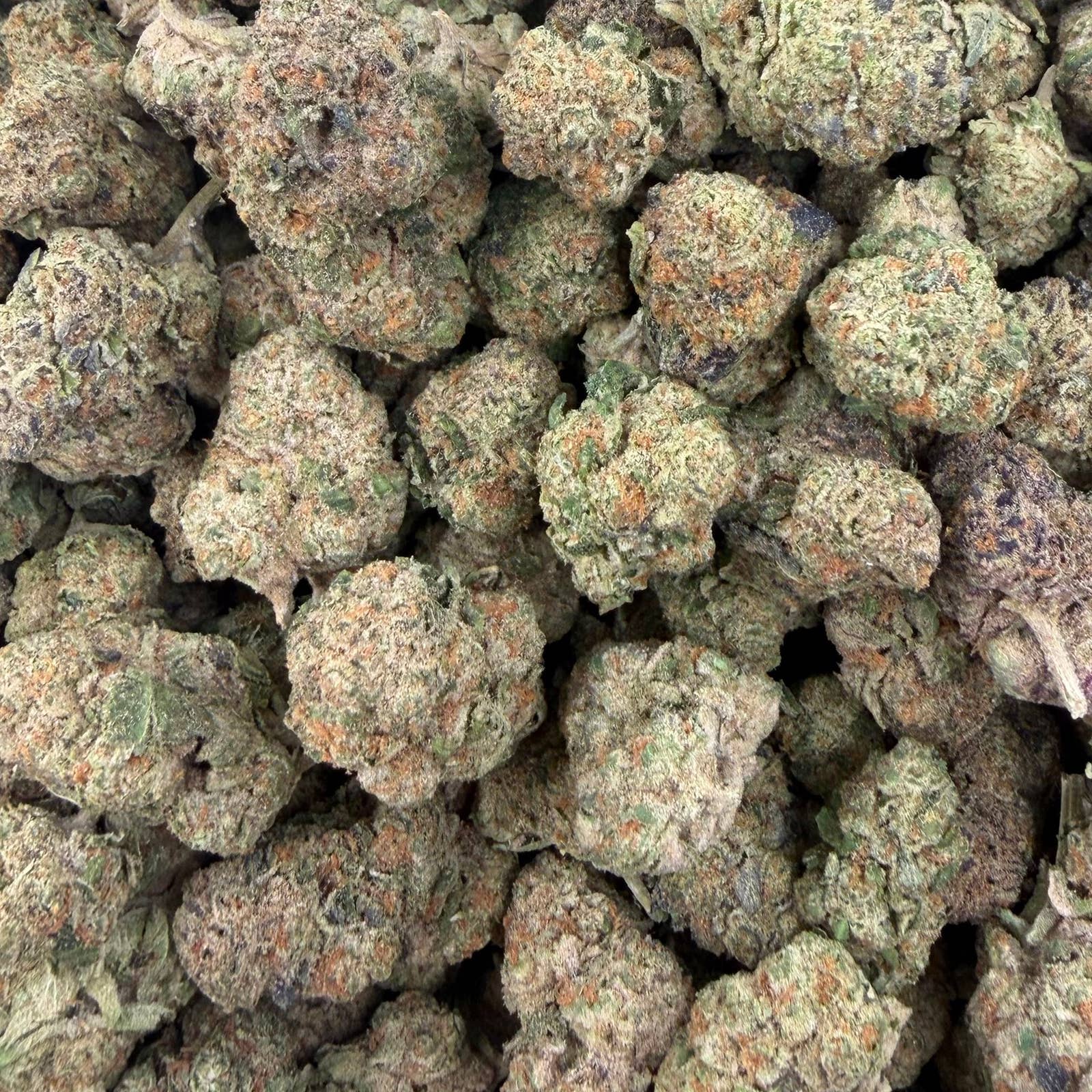 Rainbow Gas bulk THCA flower — Plain Jane 1 lb