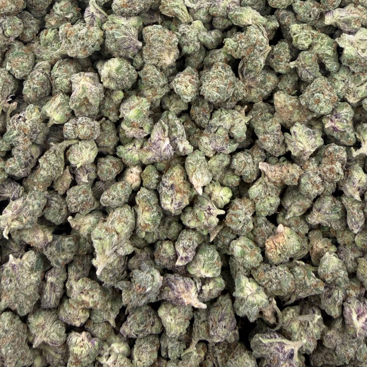 Rainbow Gas bulk THCA flower — Plain Jane 1 lb