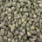 Rainbow Gas bulk THCA flower — Plain Jane 1 lb