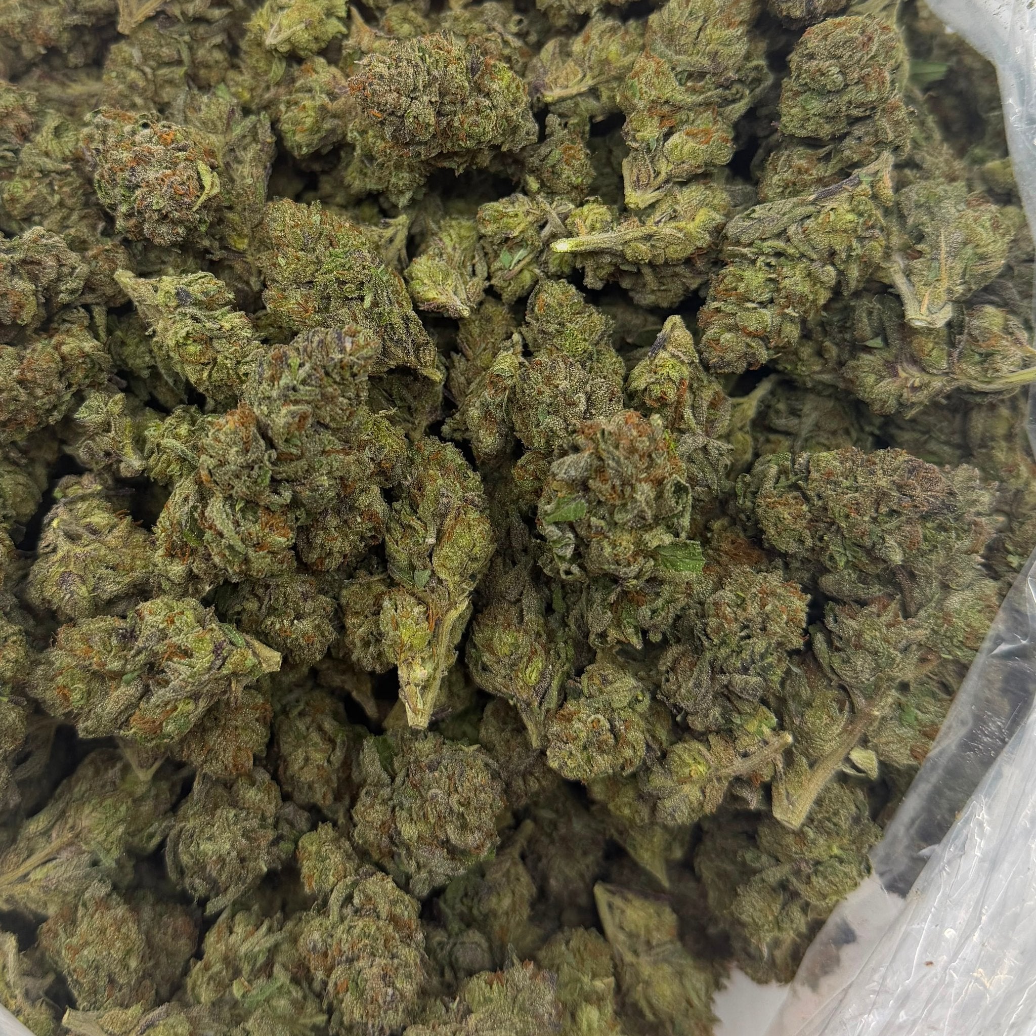 Rainbow Runtz bulk THCA flower — Plain Jane 1 lb