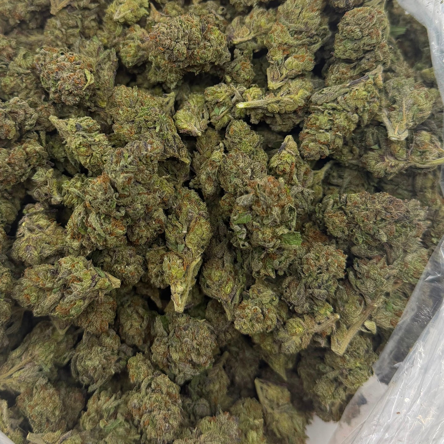 Rainbow Runtz bulk THCA flower — Plain Jane 1 lb