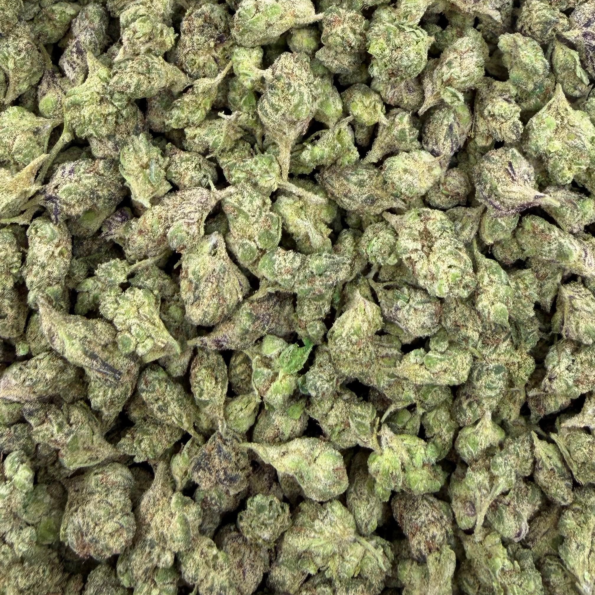 Rainbow Runtz bulk THCA flower — Plain Jane 1 lb