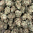 Raskal OG bulk THCA flower — Plain Jane 1 lb