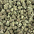 Raskal OG bulk THCA flower — Plain Jane 1 lb