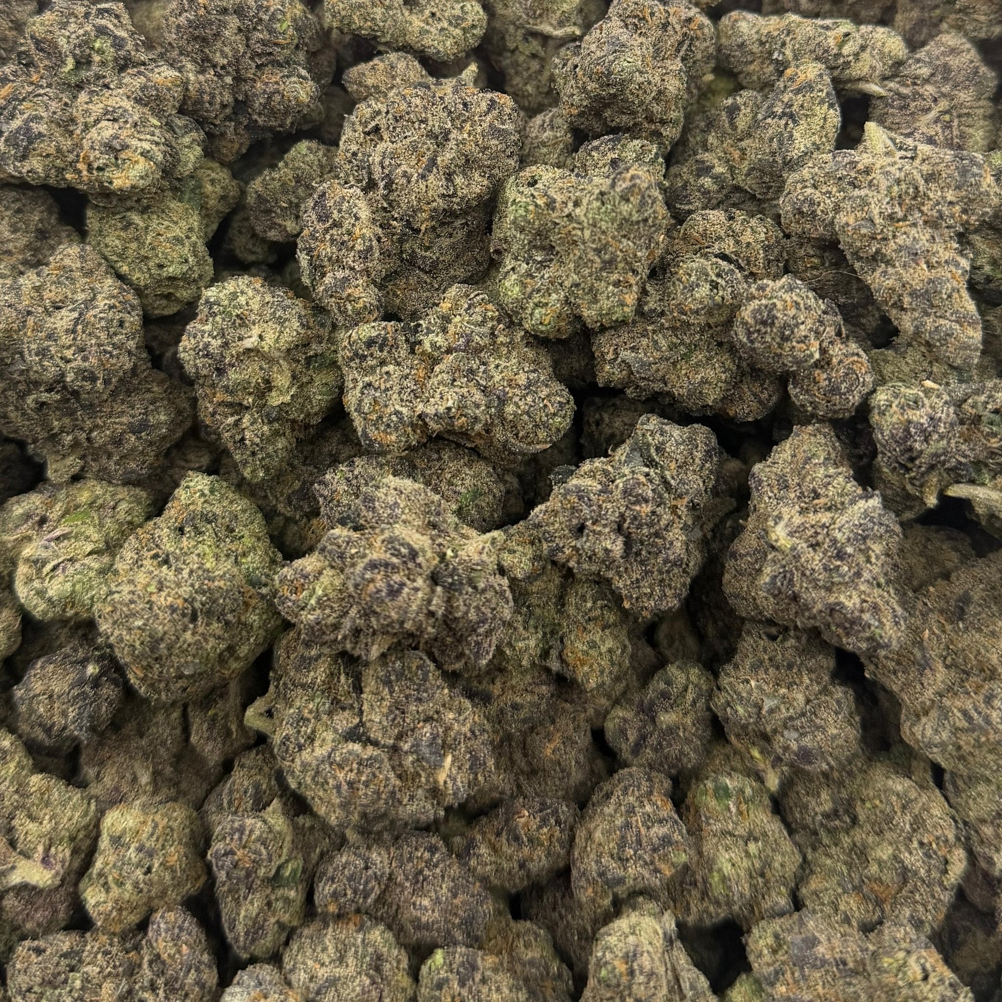 Razzleberry bulk THCA flower — Plain Jane 1 lb