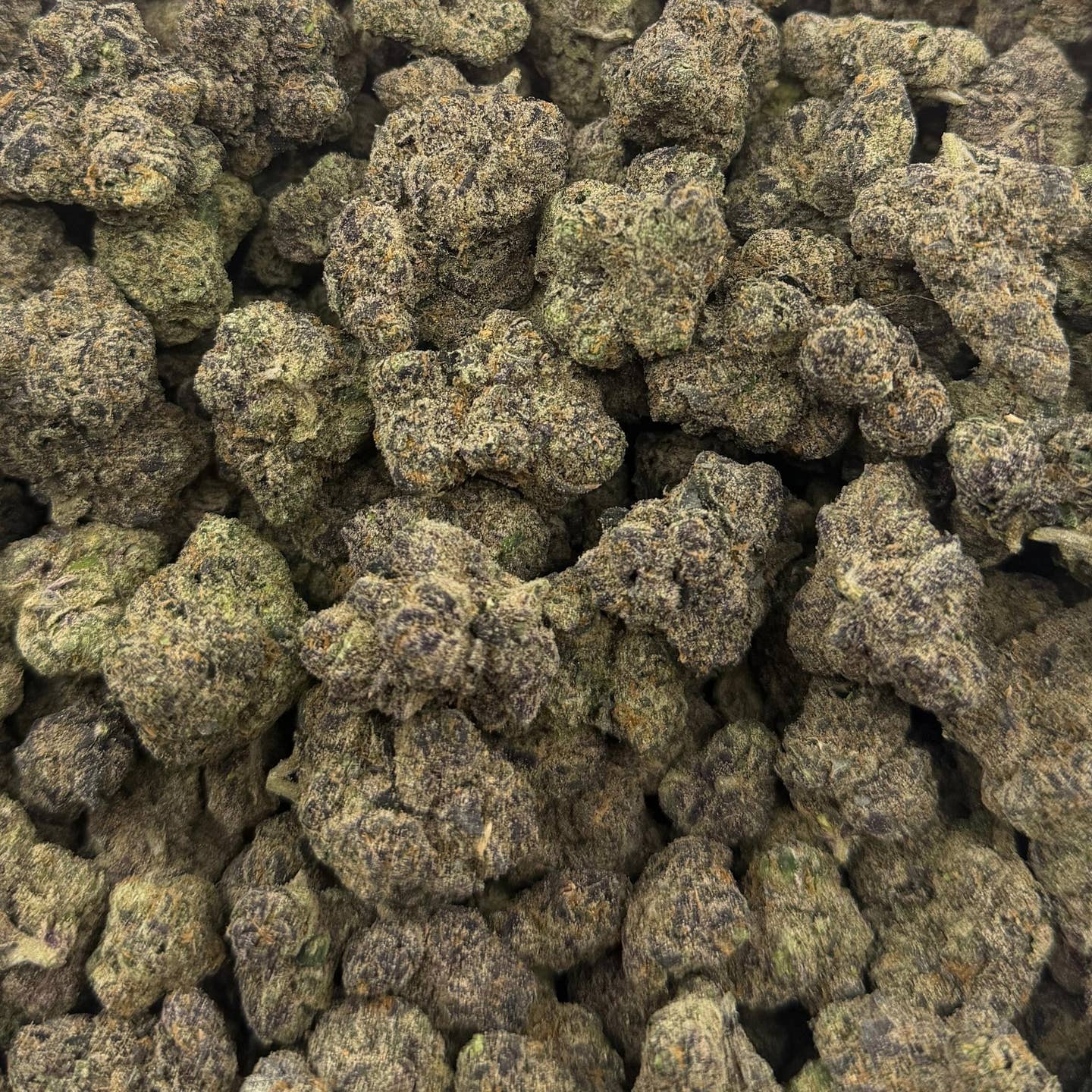 Razzleberry bulk THCA flower — Plain Jane 1 lb