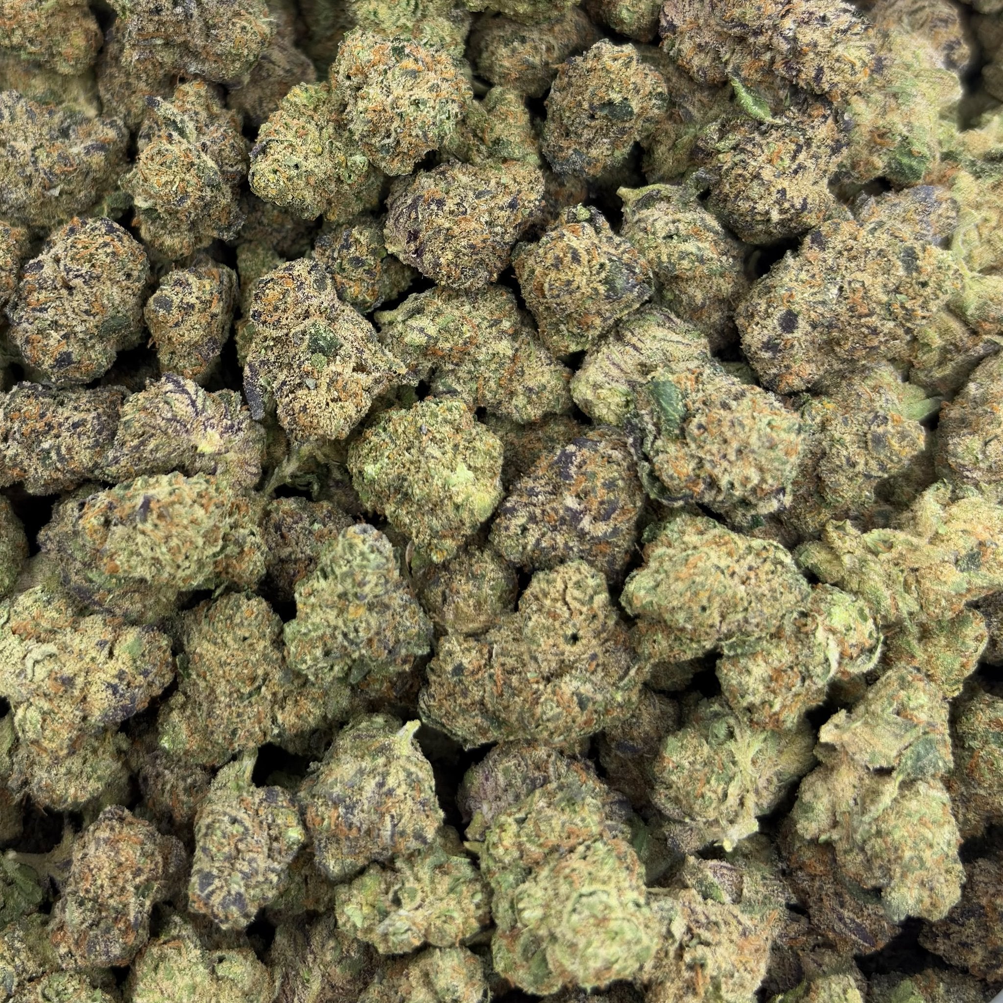 Razzleberry bulk THCA flower — Plain Jane 1 lb