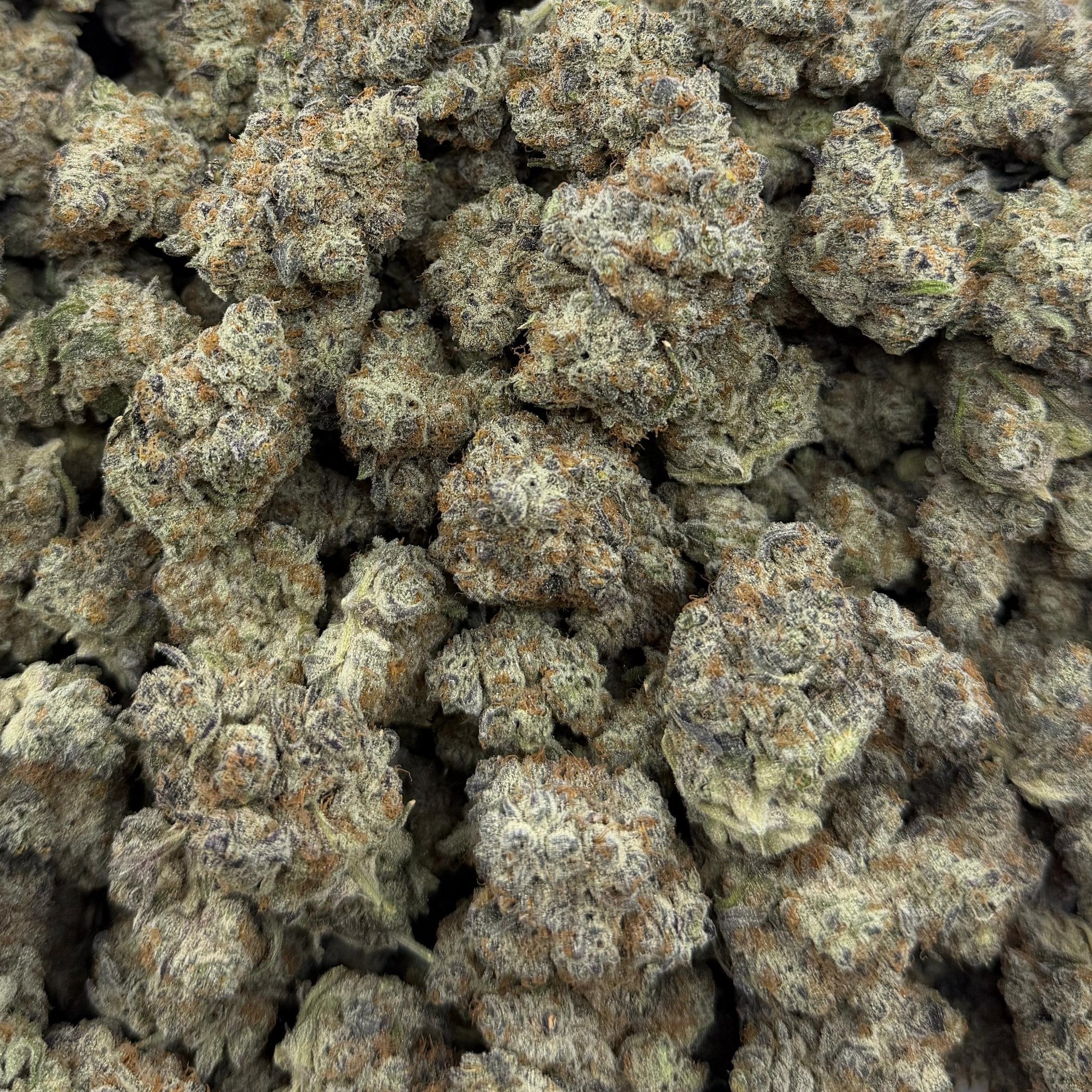 Red Velvet bulk THCA flower — Plain Jane 1 lb